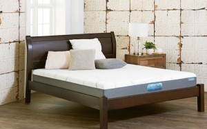 ComforPedic Beautyrest Delta 19