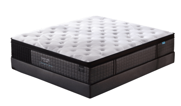 zzz atelier black label mattress review