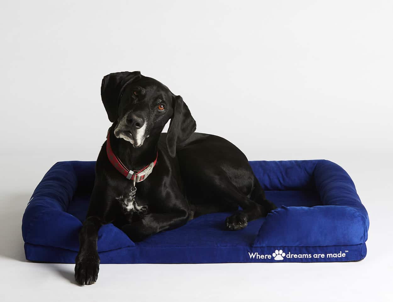 Sleep Republic Dog Bed