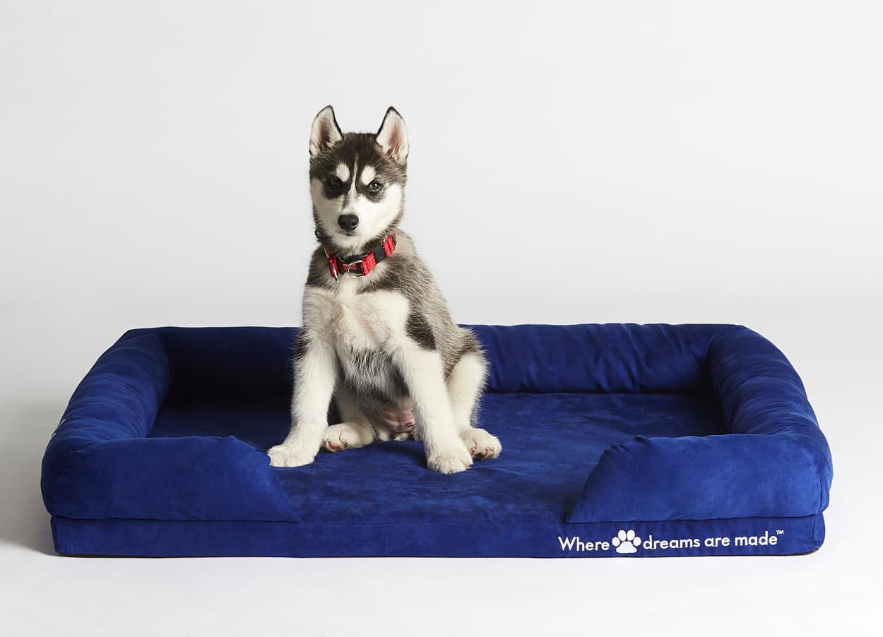 Sleep Republic Dog Bed