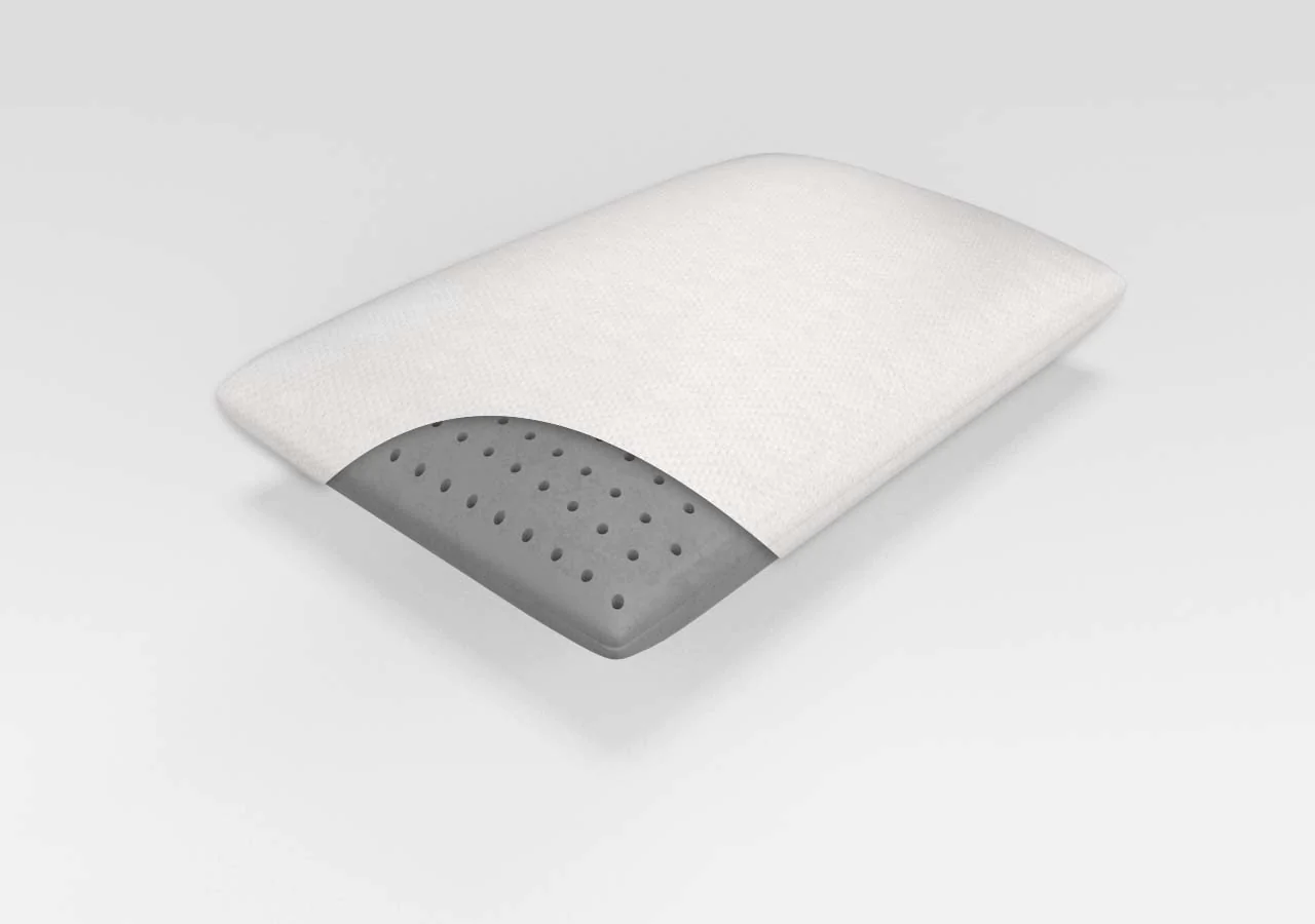 Silver Sense Pillow