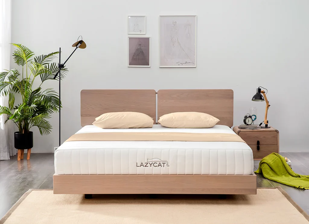 Lazycat Foam Mattress