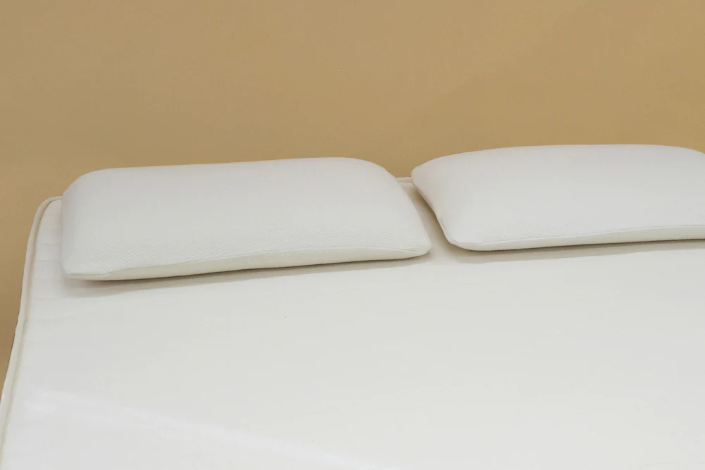 Peace Lily Hybrid Mattress Review (in 2024)