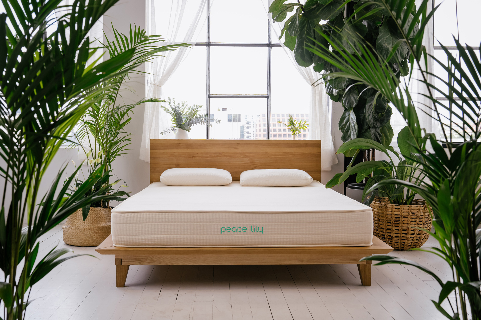 Peace Lily Latex Mattress