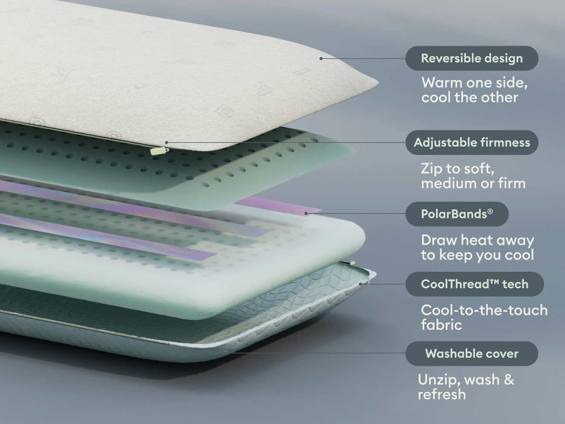 Koala Pillow [2nd Gen]